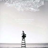 My Brightest Diamond  A Thousand Sharks Teeth