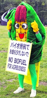 An anti-G8 activist wearing a costume representing corn displays a placard during a rally in Sapporo on Japans northen island of Hokkaido on Friday ahead of the G8 Summit.