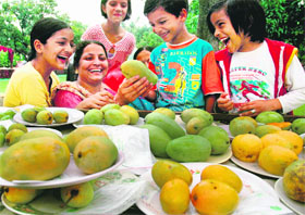 Visitors admire a lesser-known variety of mangoes at the 17th mango mela, Yadvindra Garden, in Pinjore on Saturday.