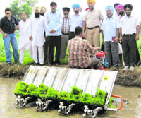 Officials of the Agriculture Department at the launch of a mechanical paddy transplantation machine in Amritsar recently.