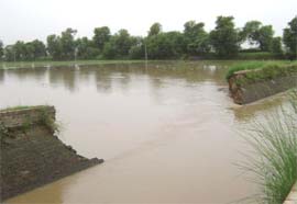 A 70 feet breach in the Malukpura distributory canal near Abohar flooded 300 acres of land in village Dhaba Kokrian on Sunday. 