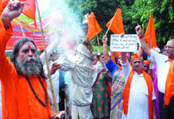 Activists of the Akhil Bharatiya Hindu Mahasabha burn effigy of the J&K government during a demonstration against the revocation of the order relating to the transfer of land in Kashmir to the Amarnath Shrine Board, at Jantar Mantar in New Delhi 