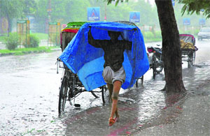 A boy covers himself with a polythene sheet during rain in Karnal on Wednesday. 