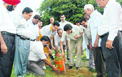 Harish Rai Dhanda plants a sapling in a park in Rishi Nagar Colony in Ludhiana