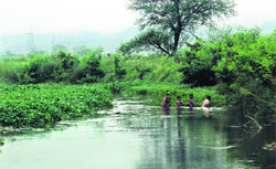 Workers clean the contaminated drain in Ropar