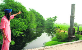 A farmer points toward suction pumps on Nashara drain used for irrigation at Kotbhara village in Bathinda district.