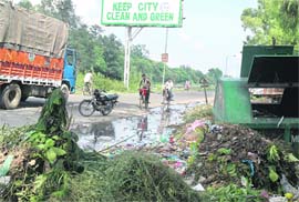Unhygienic conditions prevail along one of the Ludhiana roads. 