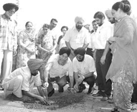 Punjabi University VC Dr Jaspal Singh plants a sapling on the campus in Patiala on Monday. 