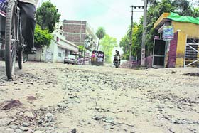 Sector 15 road