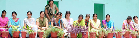 ETT students celebrating Van Mahotsav in the DAV College of Education, Abohar, on Tuesday.