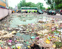 Unbearable stench emanates from the heaps of garbage outside Jalandhar bus stand.