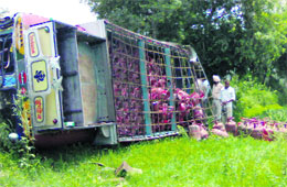 The Indane gas agency truck which collided with a bus on the Malerkotla-Nabha road on Tuesday.