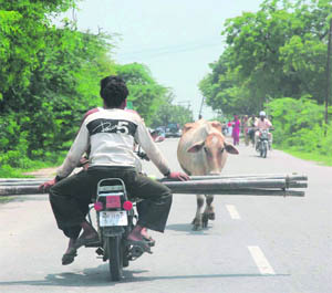 Not caring two hoots for the rules, this motorcyclist poses a threat to other commuters on the road in Karnal.