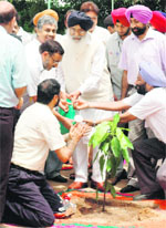 Chief Minister Parkash Singh Badal plants a sapling at PAU in Ludhiana