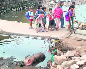 Water pipes run through garbage along the nullah bridge at Rajiv Colony in Panchkula. While the administration claims that water supply through these pipes has been cut off, colony residents were seen drawing water from taps along side the nullah on Friday.