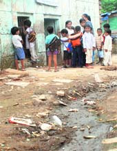Muck in front of a private school building in Budhanpur village in Panchkula.