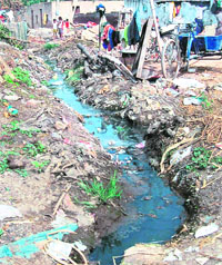 The filth at Madanpur village in Mohali district.