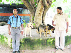 Sniffer dogs attached with the Fatehgarh Sahib police.