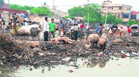 Heaps of garbage in Indira Colony despite the outbreak of cholera in the area