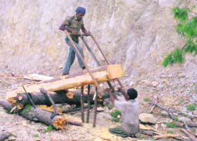 Two labourers cutting a pine tree using a traditional cutter, aara, for extracting a wooden log at Poshana along under construction Mughal Road