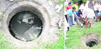 An uncovered manhole in Sector 13 in Karnal on Saturday which poses a danger to residents and animals; and (right) a cow which fell into the manhole is rescued by residents. 