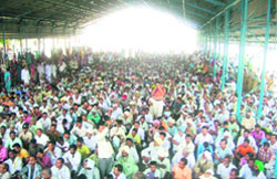 Followers of Dera Sacha Sauda sit in the grain market in Fatehabad