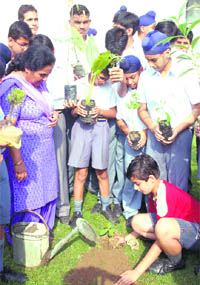 Students of Budha Dal Public School plant saplings during Van Mahotsav on the school premises on Tuesday. 