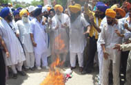 Balwant Singh Nandgarh, Jathedar, Takht Shri Damdama Sahib, along with his supporters, burns an effigy of Dera Sacha Sauda chief at Talwandi Sabo on Wednesday