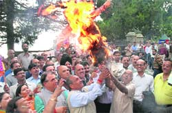 BJP supporters burn an effigy of Prime Minister Manmohan Singh outside the DC's office in Shimla on Wednesday