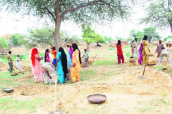 Work in progress in a Fatehabad village under the National Rural Employment Guarantee Scheme. 