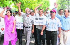 Members of PUTA and Joint Action Committee at a rally organised in Panjab University on Friday.