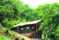 A Swiss cottage set up at Thapli nature park in the forests of Morni.