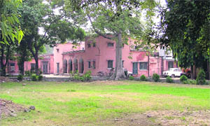 The ill-maintained lawn of the Zila Parishad office in Ludhiana.