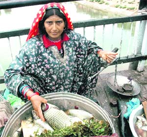 A woman selling her days catch of fish in Srinagar