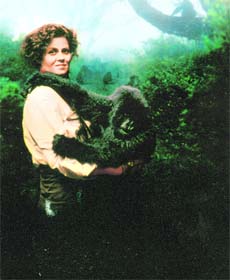 Gorillas In The Mist skillfully blends message with great cinema