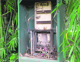 The uncovered electricity junction box at Shanti Kunj garden in Sector 16, Chandigarh, could be a cause of major mishap. 