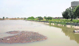 Filth and dirt accumulate in the main reservoir of the water treatment plant at the Rose Garden that supplies drinking water to Bathinda town.