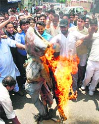 Protesters burn an effigy in protest against the land revocation order at Jammu