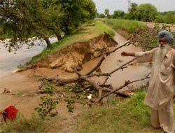 A farmer shows the breach in canal distributary and the damaged crops at the outskirts of Bathinda on Wednesday.