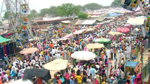 Panj Pir Sawan Mela in full bloom on the last day in Abohar on Wednesday. 