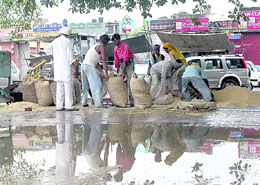 Labourers fill wheat in bags sold by farmers at Grain Market in Sector 26, Chandigarh.