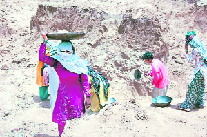Labourers work under the NAREGA scheme at a village in Jhajjar. 