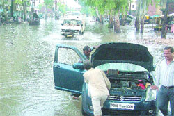 The rain shower, which lashed Jalandhar on Thursday afternoon, leaves life paralysed and roads waterlogged