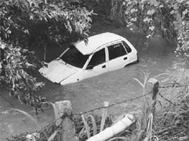 a car that fell into a nullah at Lakhnoar village in Mohali.