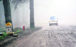 A view of the dense fog which covered the national highway at Mashobra, near Shimla, on Tuesday. Tribune photo: Amit Sharma