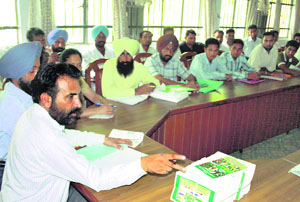 PAU scientists train scouts to fight mealy bugs in Bathinda on Tuesday. 