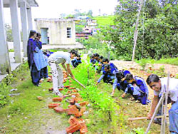 Students of Senior Secondary School, Cholthara, Mandi, maintain flower beds during the NSS camp.