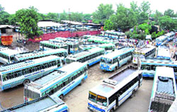 Haryana Roadways buses parked at the Sirsa bus stand during a strike by employees