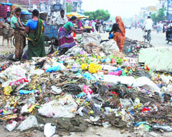 PPCB has accused the MC of not handling the solid waste properly.