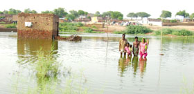 Rain that started lashing Abohar on Thursday last week wreaked havoc in colonies located on the outskirts of the town.